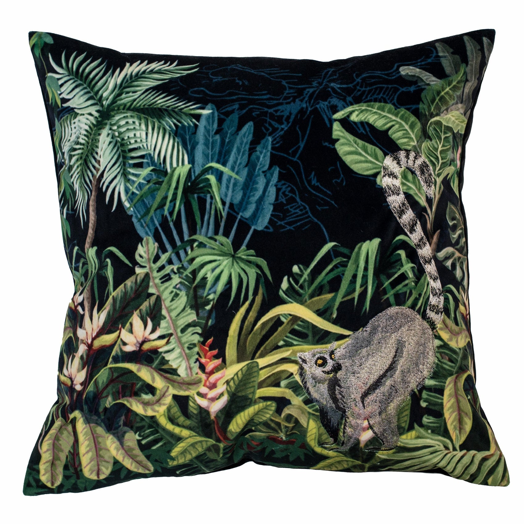Malini Lemur On Black Velvet Square Cushion 45x45