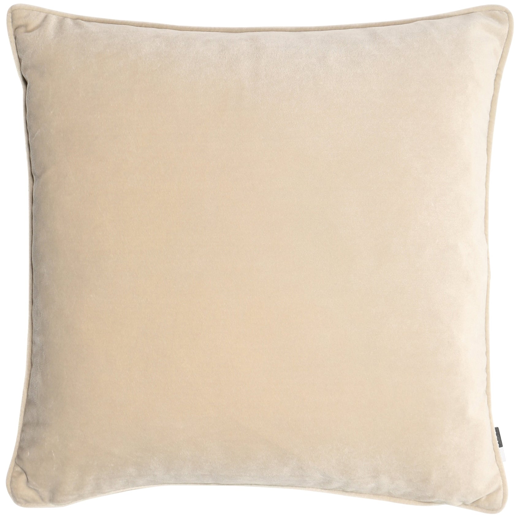 Malini Luxe Velvet Piped Champagne Square Cushion 43x43