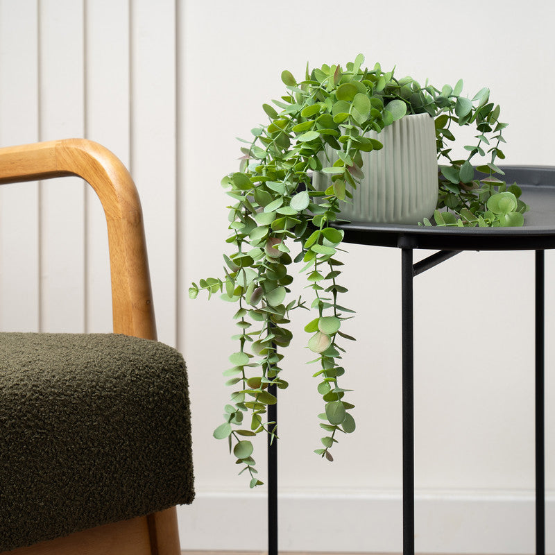 Artificial Trailing Eucalyptus Plant