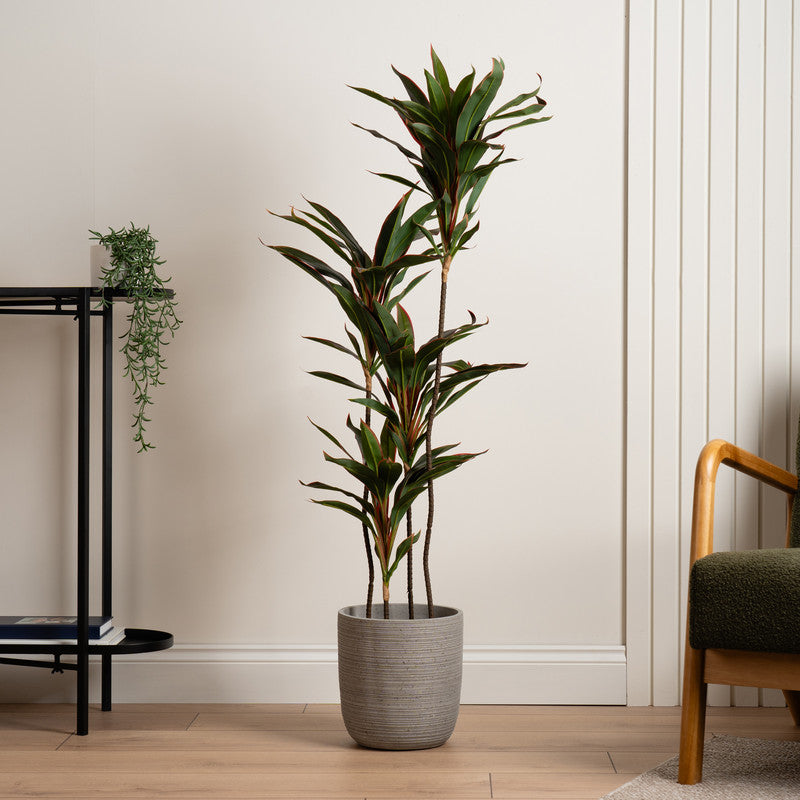 120Cm Real Touch Dracaena Tree