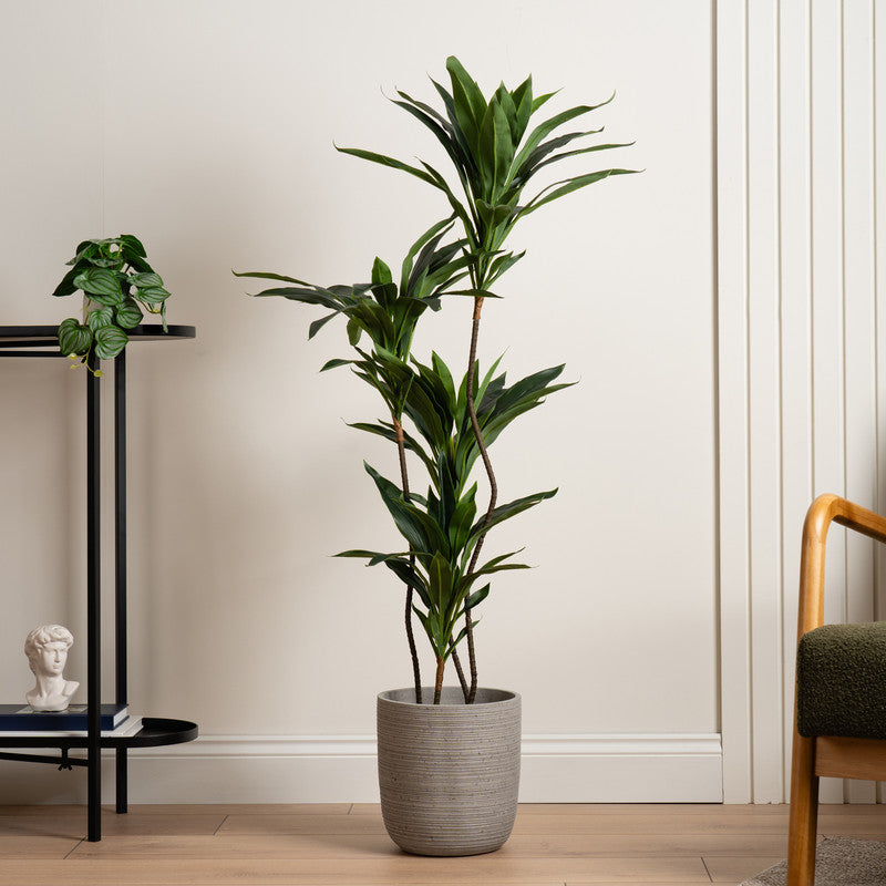 120Cm Real Touch Green Dracaena Tree