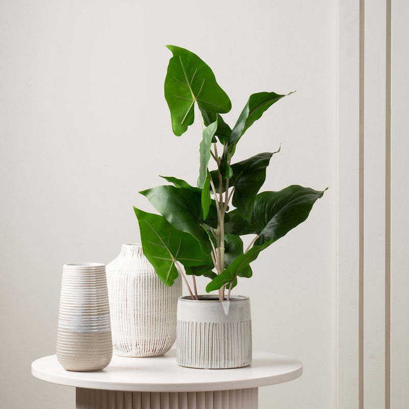 48Cm Artificial Typhonium Plant