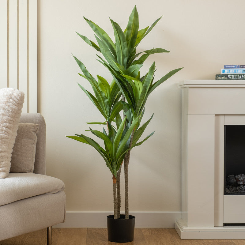 120cm Real Touch Draceana Tree