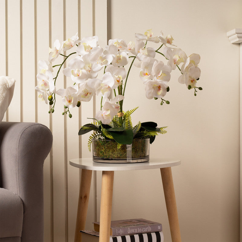 55cm Real Touch 5-Stem Artificial Orchid with Fern in Glass Pot