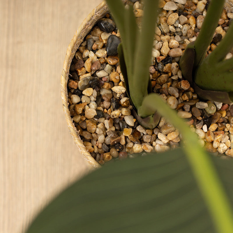 120cm Artificial Banana Palm Tree in seagrass basket