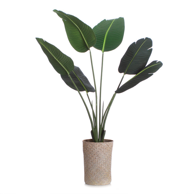 120cm Artificial Banana Palm Tree in seagrass basket