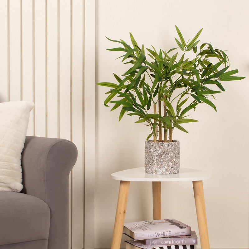 60cm Artificial Tabletop Bamboo in Cement Pot