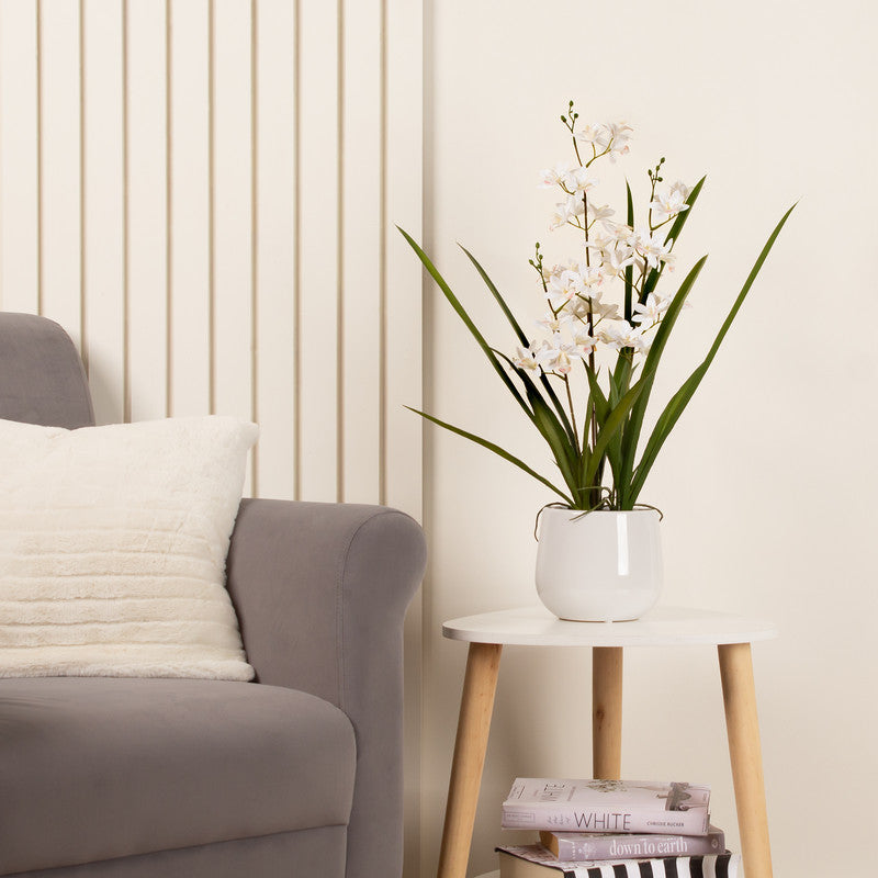 61cm Real Touch 3-stem White Mini Cymbidium Orchid in Pot