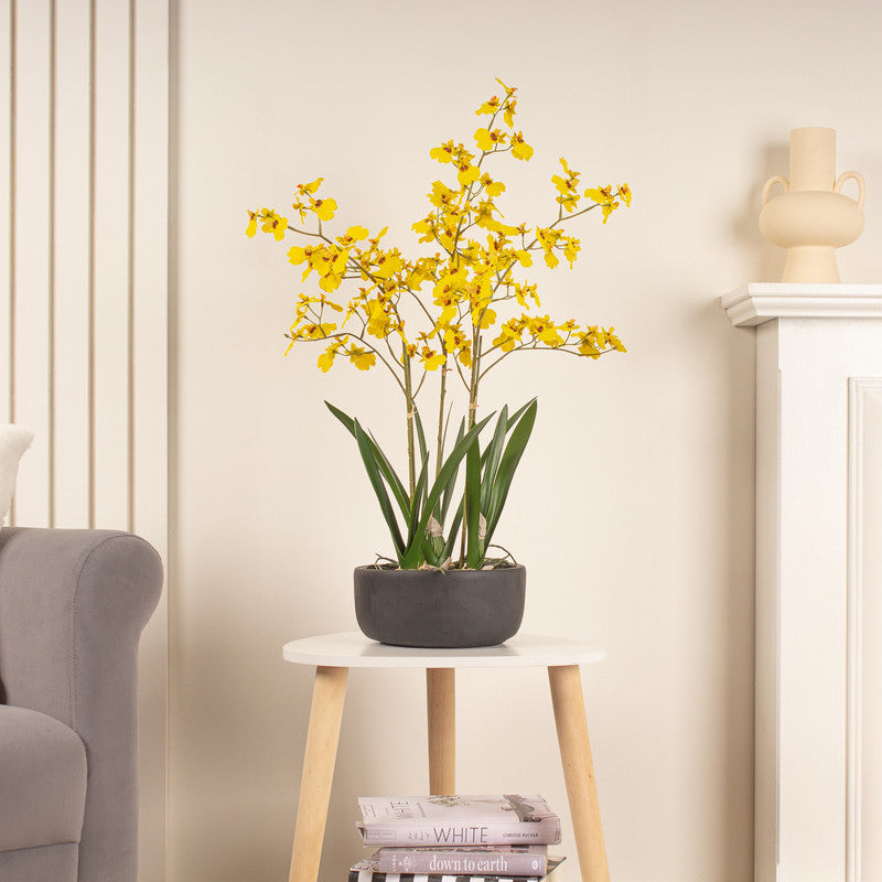 71cm Real Touch Yellow Dancing Orchid in Ceramic Pot