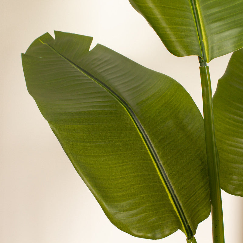 120cm Real Touch Banana Tree