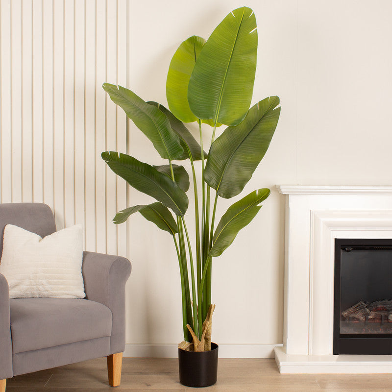 180cm Real Touch Banana Tree