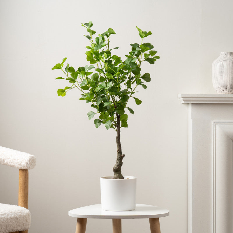 75cm Artificial Heart-leaf Ficus Tree in White Pot