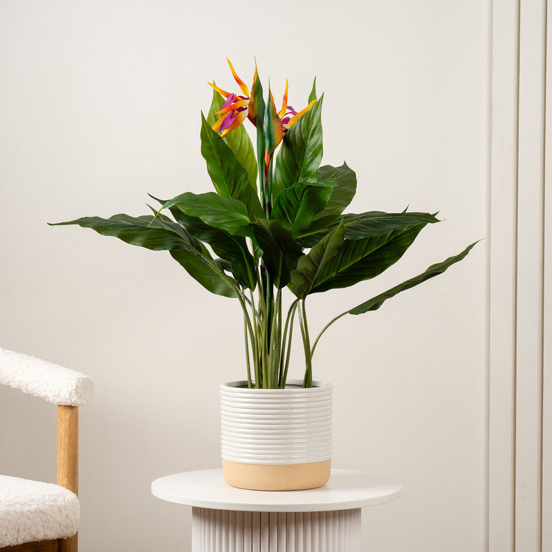 83cm Artificial Bird of Paradise Tree with Flower