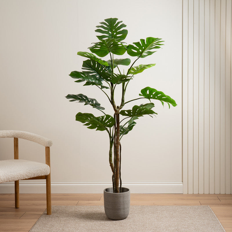 160cm Real Touch Monstera Tree