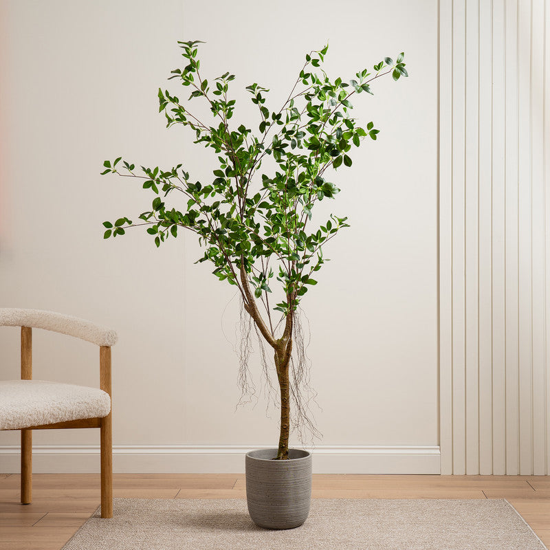150cm Real Touch Mini Ficus Tree