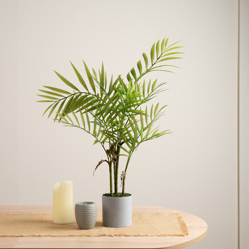 66cm Artificial Palm Tree in Grey Plastic Pot