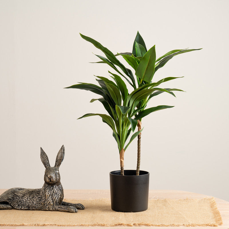 60cm Real Touch Dracaena Plant
