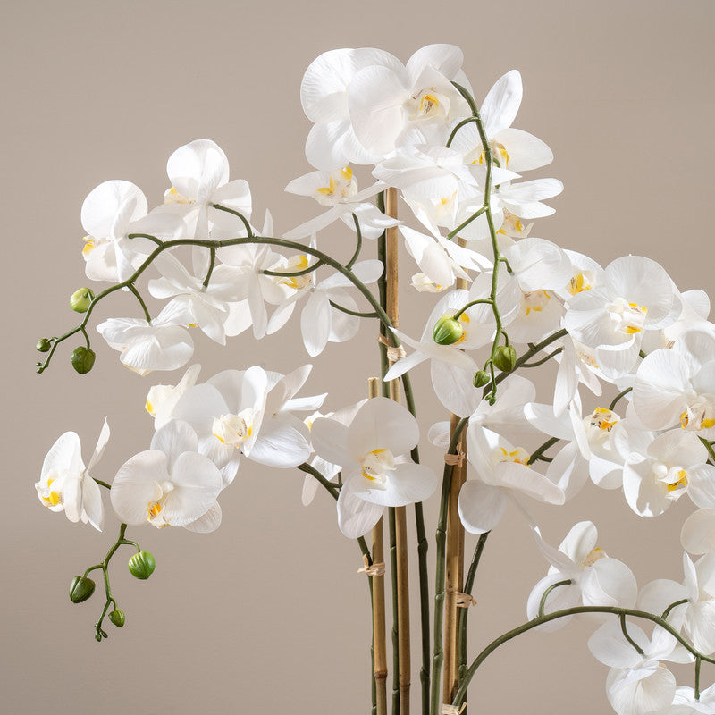 110cm Real Touch Phalaenopsis Orchid in Pot