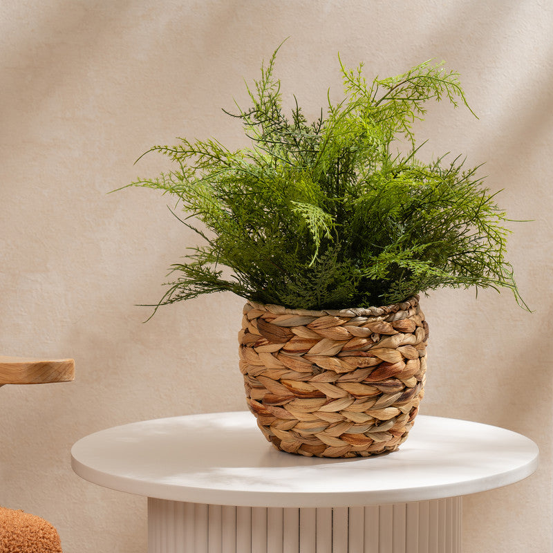 43cm Artificial Fern in Basket