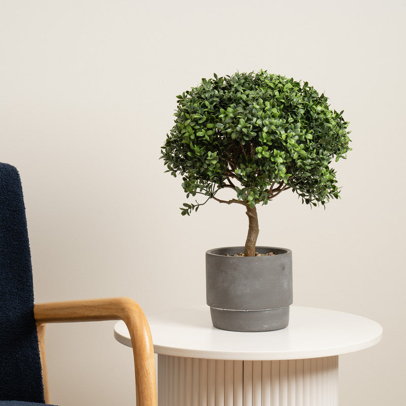 45cm Artificial Mini Topiary Plant in Cement Pot