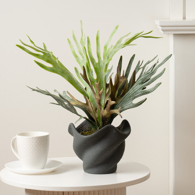 53cm Artificial Sea Greens in Cement Shell Pot