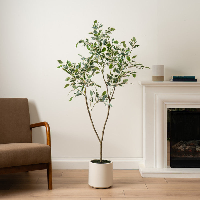 150cm Real Touch Ficus Tree KD