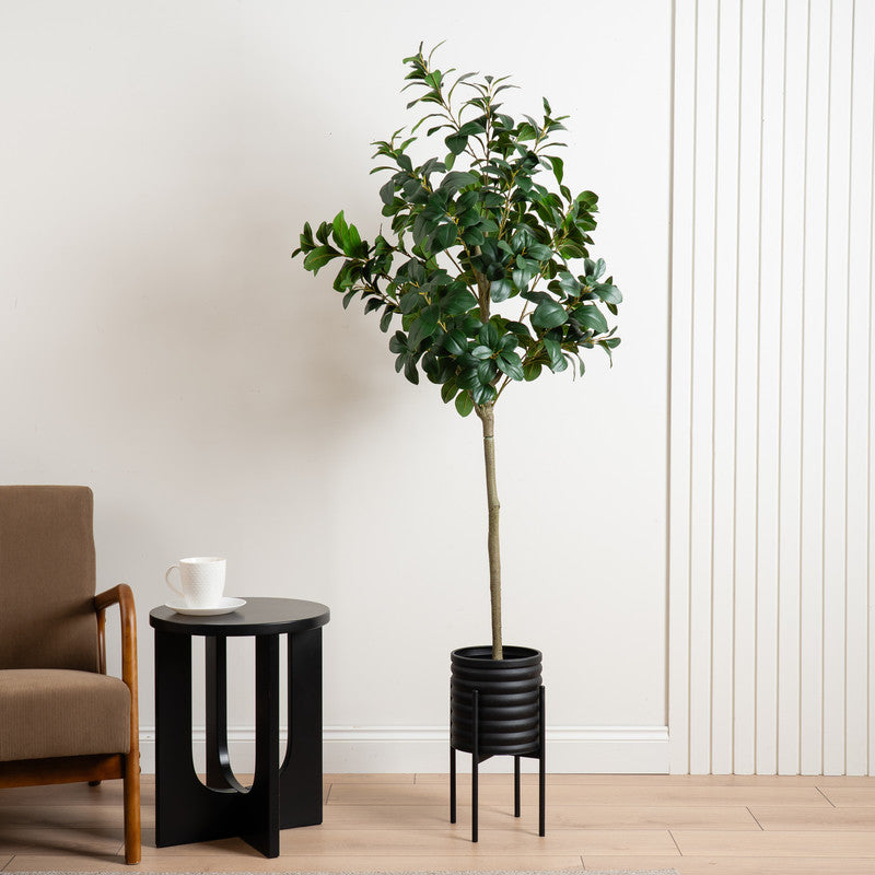 160cm Artificial Peperomia Tree