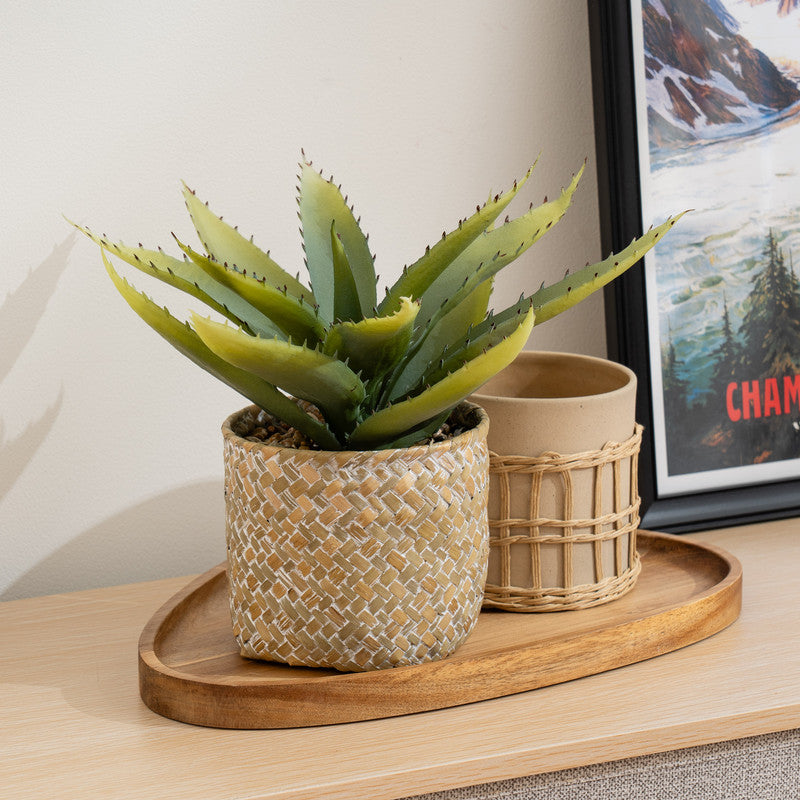 28cm Artificial Aloe Plant in Basket