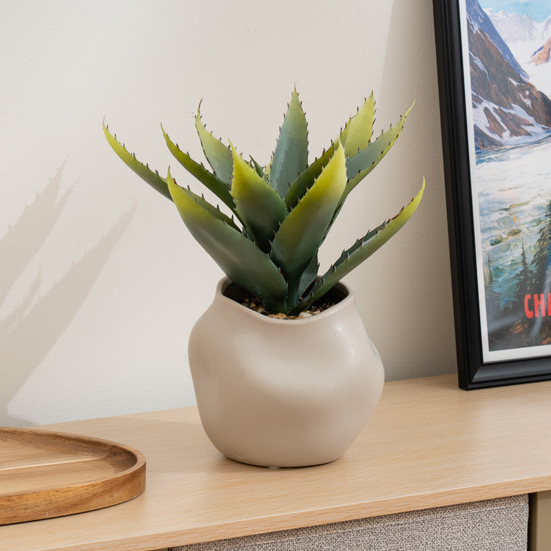 30cm Artificial Aloe Plant in Ceramic pot