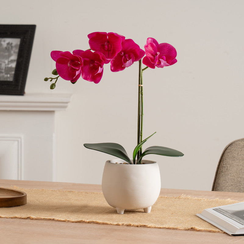 40cm Artificial Pink Orchid in Cement pot