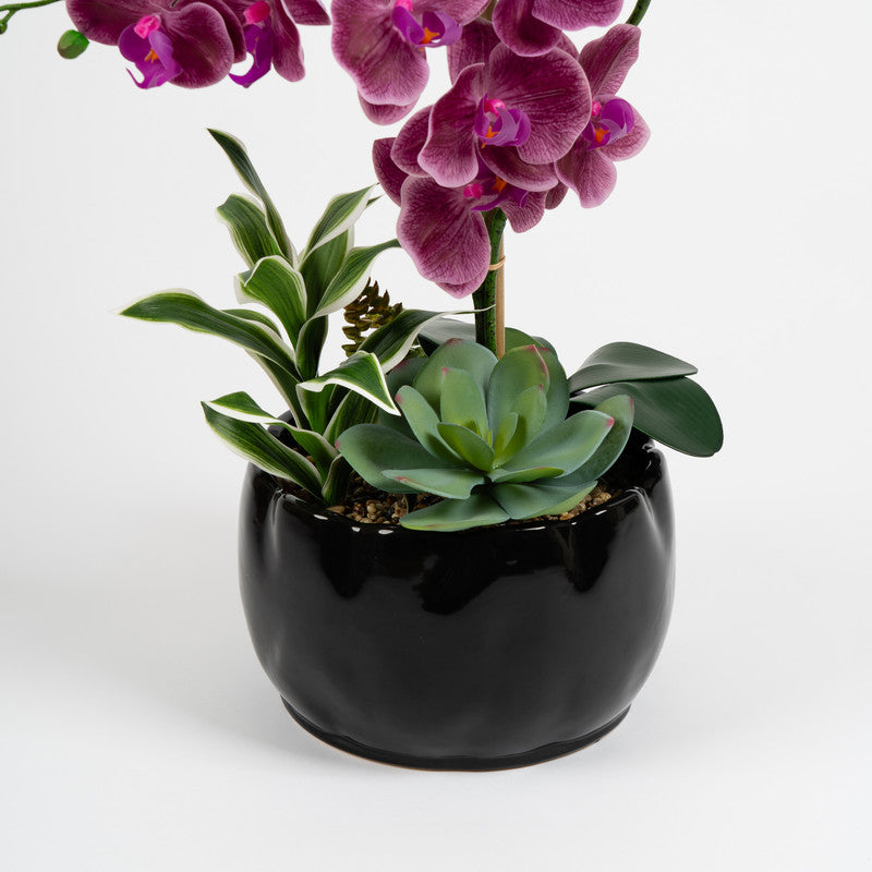 60cm Artificial Red Orchid & Foliage in Black Ceramic Pot