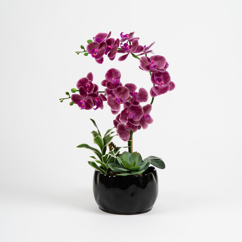 60cm Artificial Red Orchid & Foliage in Black Ceramic Pot