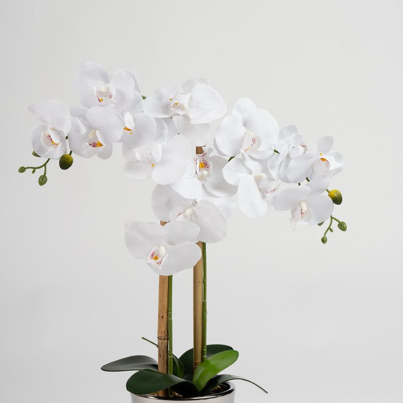 54cm Artificial White Orchid in Silver Ceramic Pot