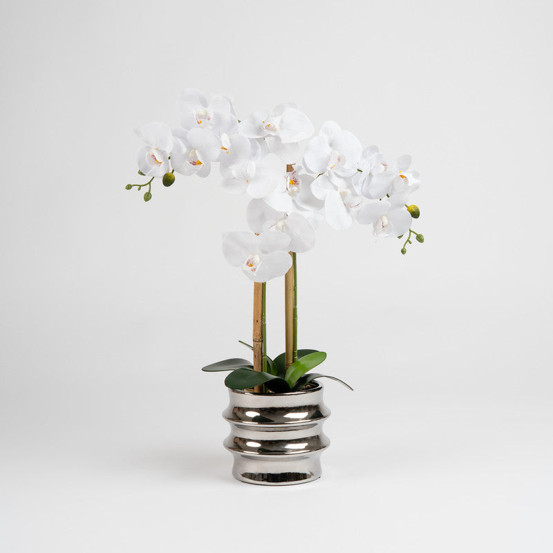 54cm Artificial White Orchid in Silver Ceramic Pot