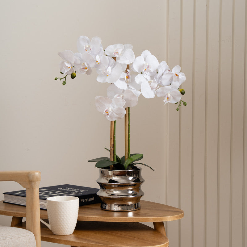 54cm Artificial White Orchid in Silver Ceramic Pot