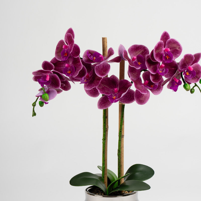 54cm Artificial Red Orchid in Silver Ceramic Pot