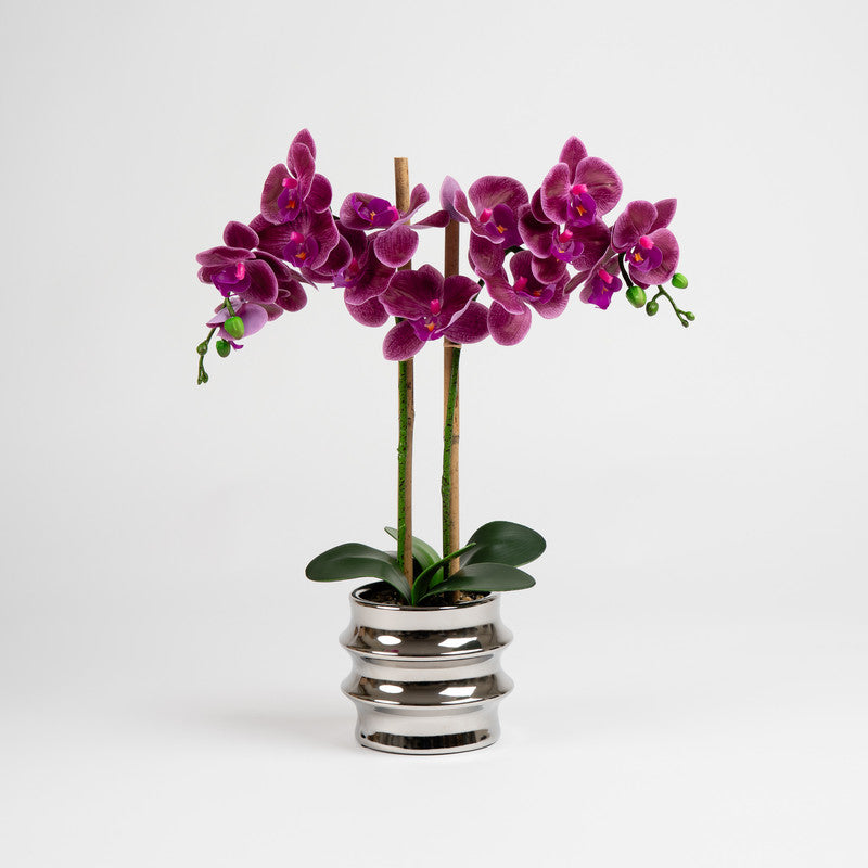 54cm Artificial Red Orchid in Silver Ceramic Pot