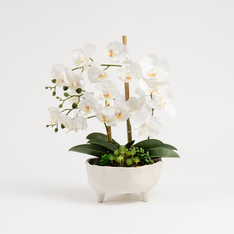 50cm Artificial White Orchid in Footed Cement Pot