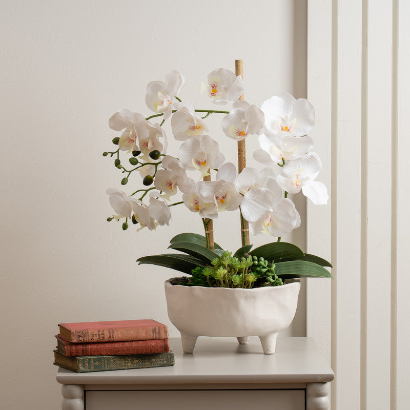 50cm Artificial White Orchid in Footed Cement Pot