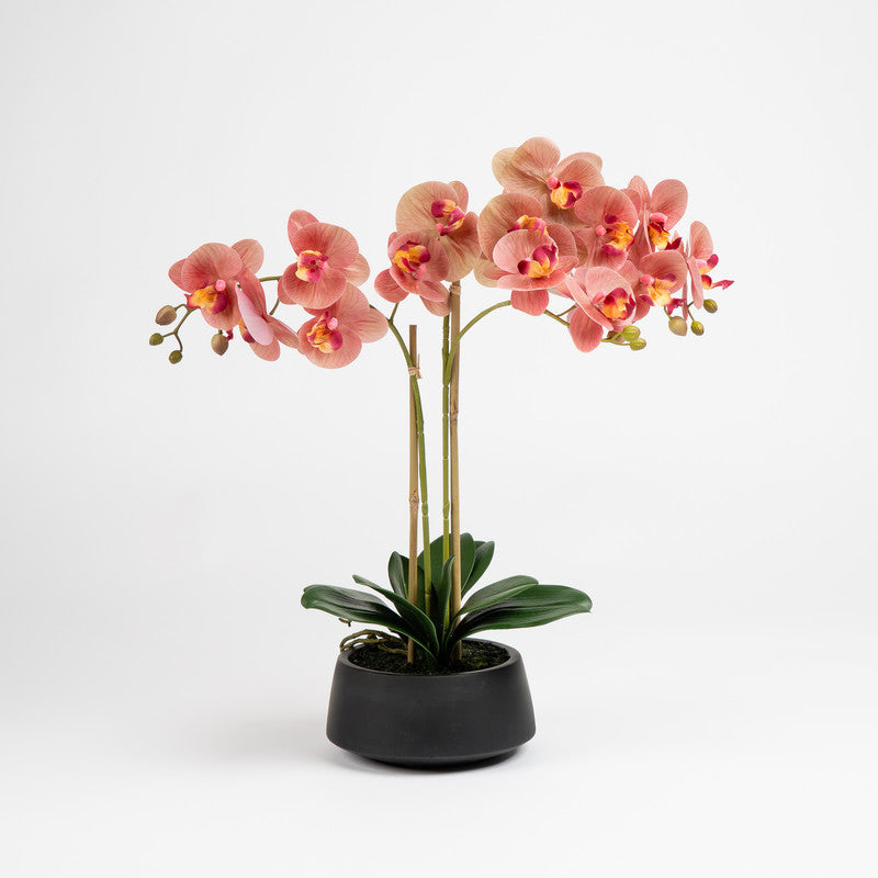 65cm Artificial Real Touch Phalaenopsis Orchid in Black Pot