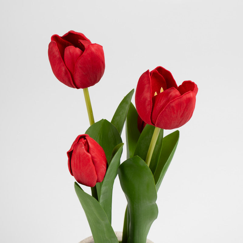 36cm Artificial Red Tulips in Cement Pot