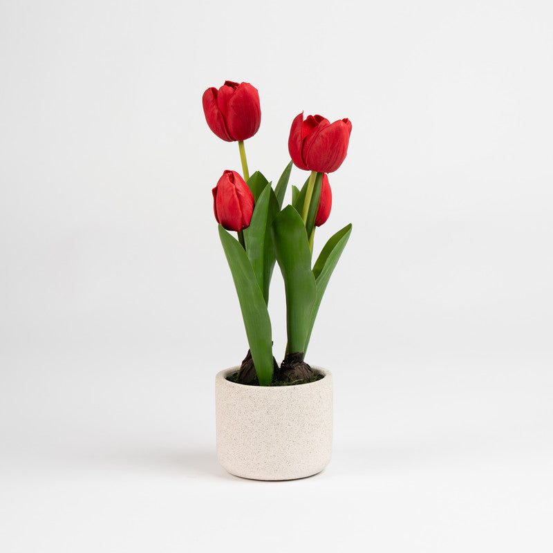 36cm Artificial Red Tulips in Cement Pot