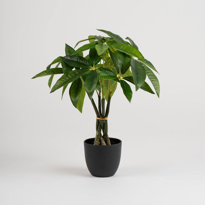 45cm Real Touch Fortune Tree