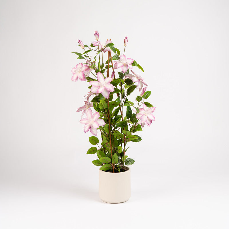 98cm Real Touch Climbing Clematis in WhIte Pot