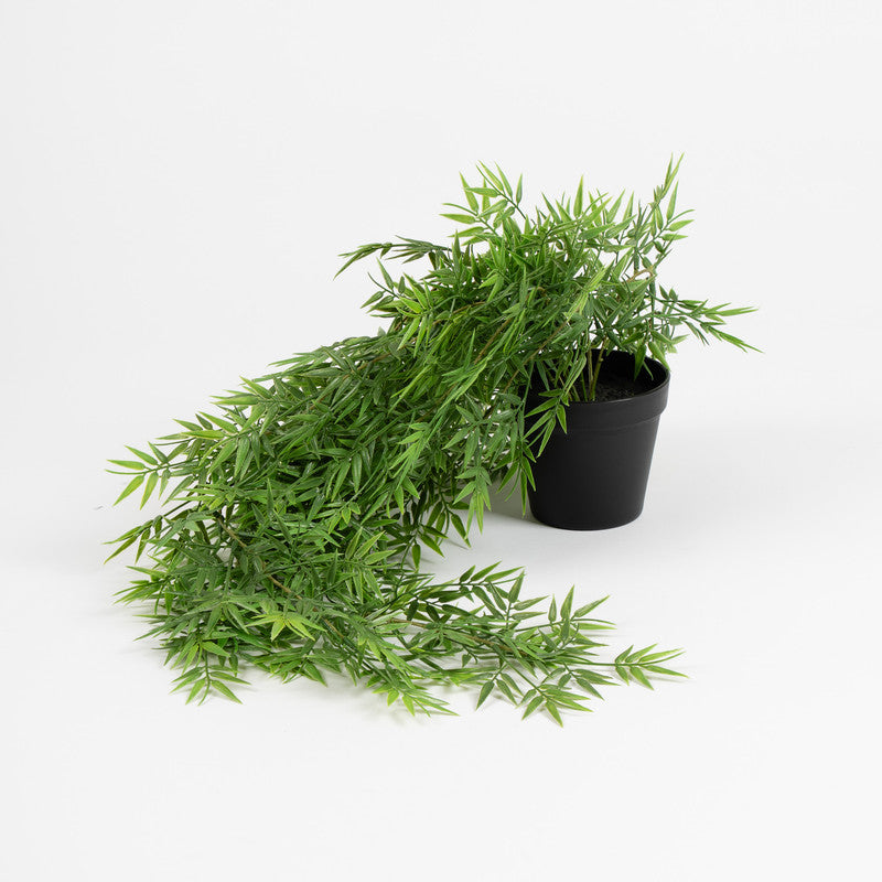 70cm Artificial Trailing Bamboo in Black Plastic Pot