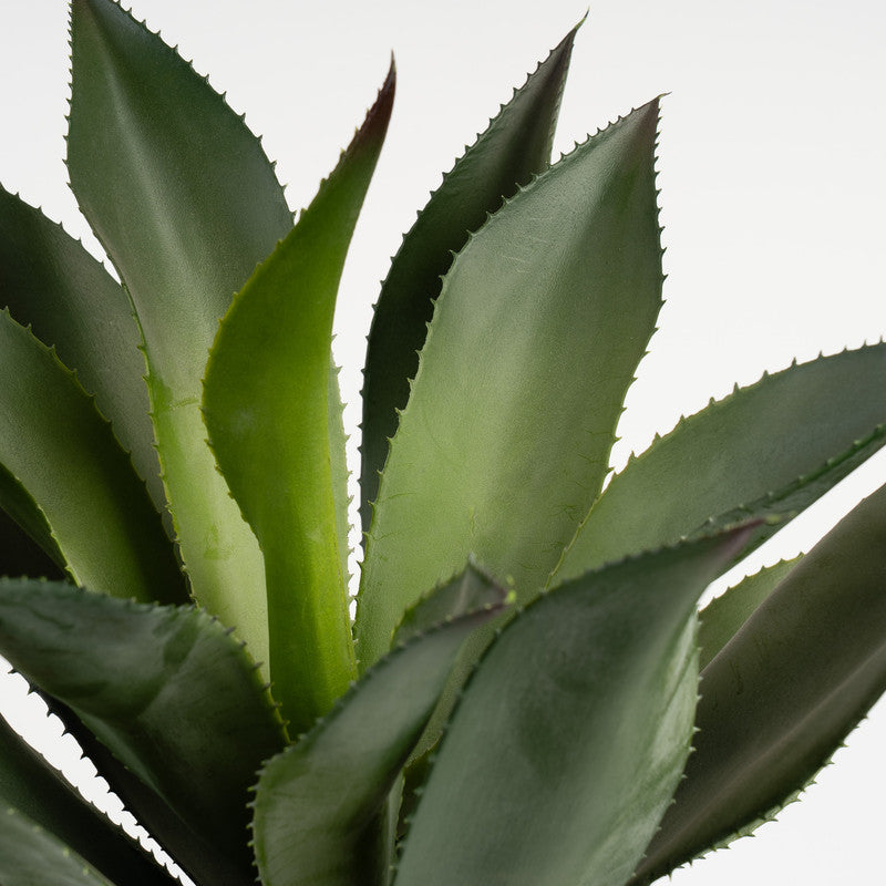 57cm Oversized Artificial Agave