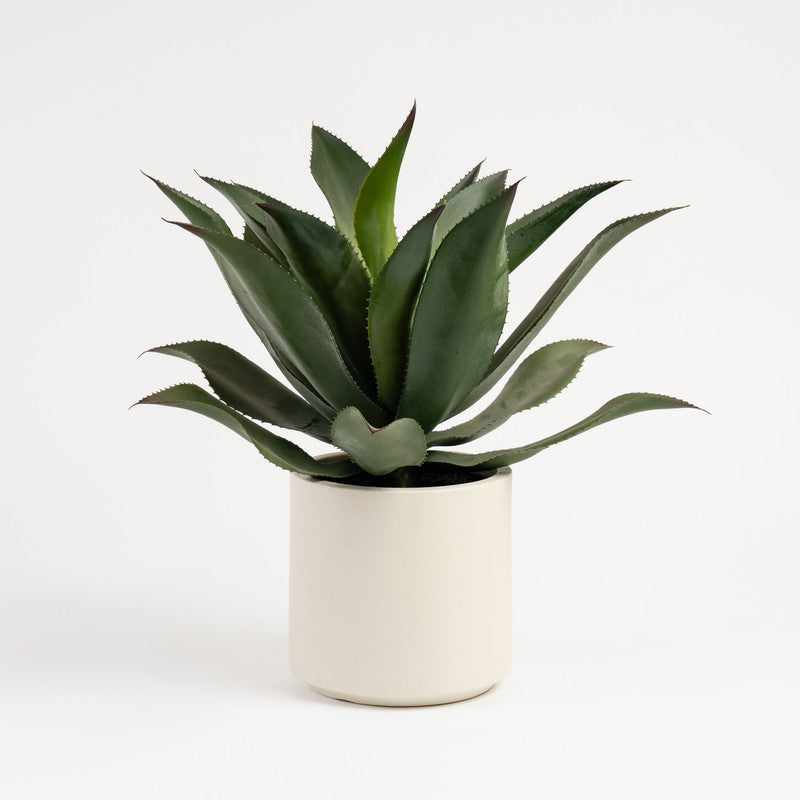 57cm Oversized Artificial Agave