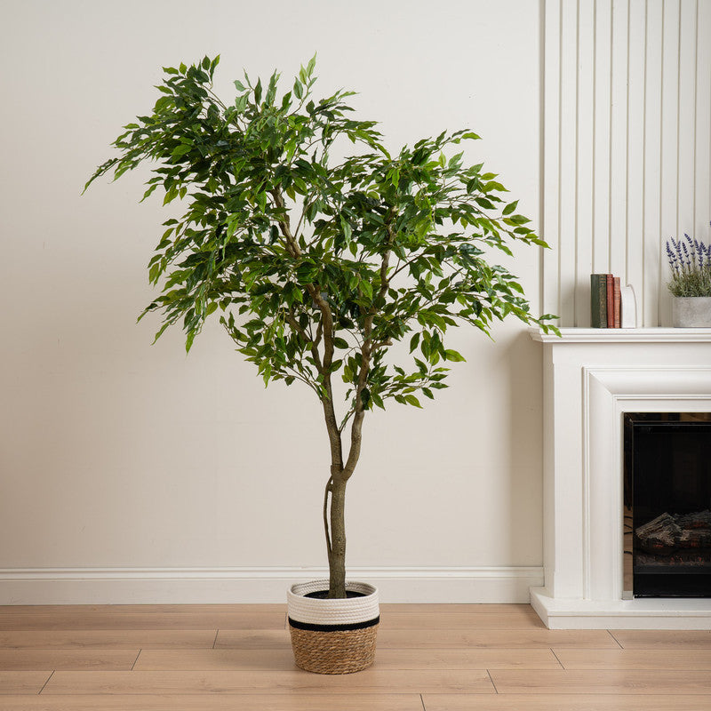 170cm Real touch Ficus in plastic pot