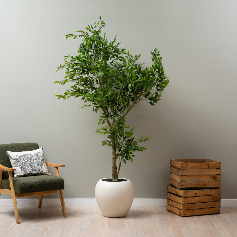 215cm Artificial Ficus Tree