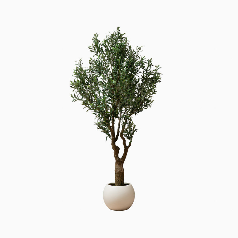 230cm Artificial Olive Tree